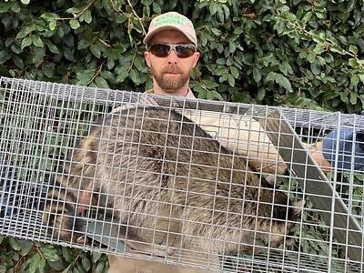 Mobile pest control